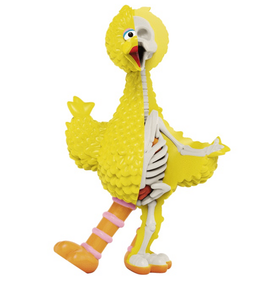Jason Freeny XXRAY Plus: Sesame Street Big Bird