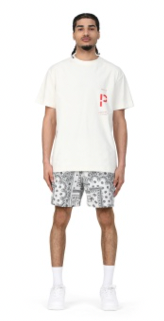 Purple Brand Ecru Paisley Swim Shorts