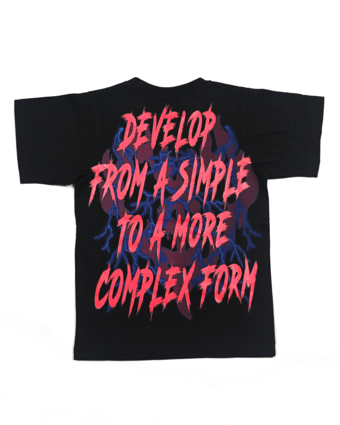 EVOL+VE From Simple To Complex Heavy Tee