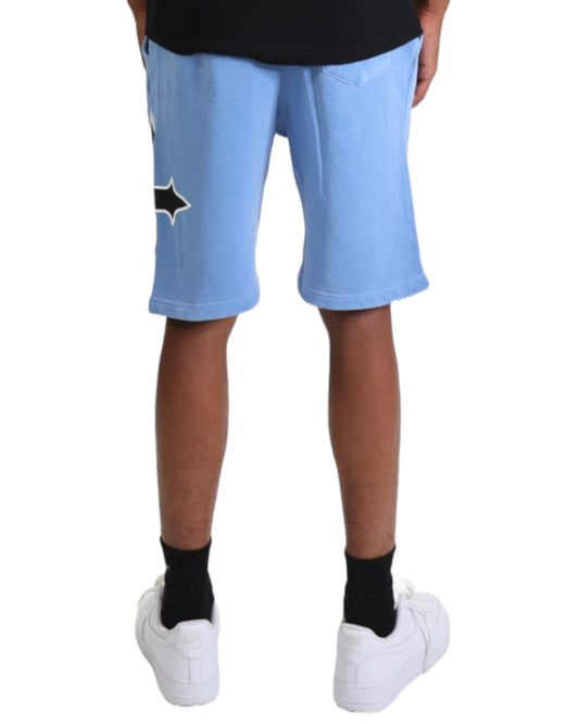 EVOL+VE From Simple To Complex Logo Shorts Blue/Black