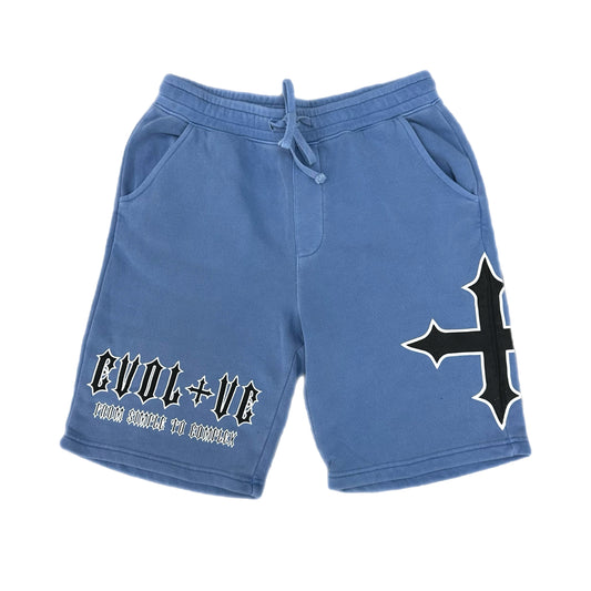 EVOL+VE From Simple To Complex Logo Shorts Blue/Black
