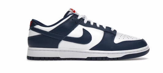 Valerian dunk low (D)