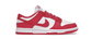 Nike Dunk Low Archeo Pink (W)