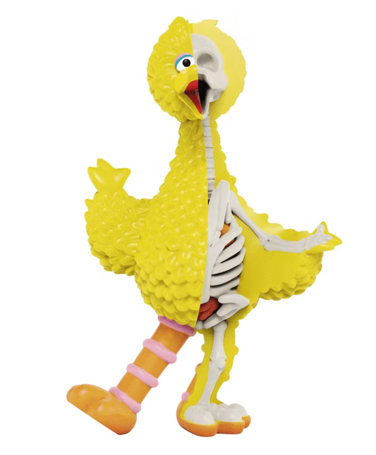 Jason Freeny XXRAY Plus: Sesame Street Big Bird